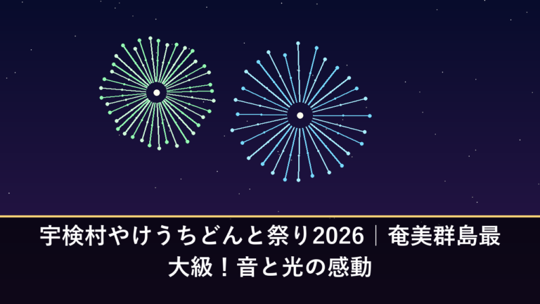 宇検村やけうちどんと祭り2026｜奄美群島最大級！音と光の感動